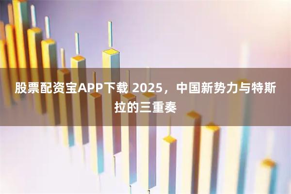 股票配资宝APP下载 2025，中国新势力与特斯拉的三重奏